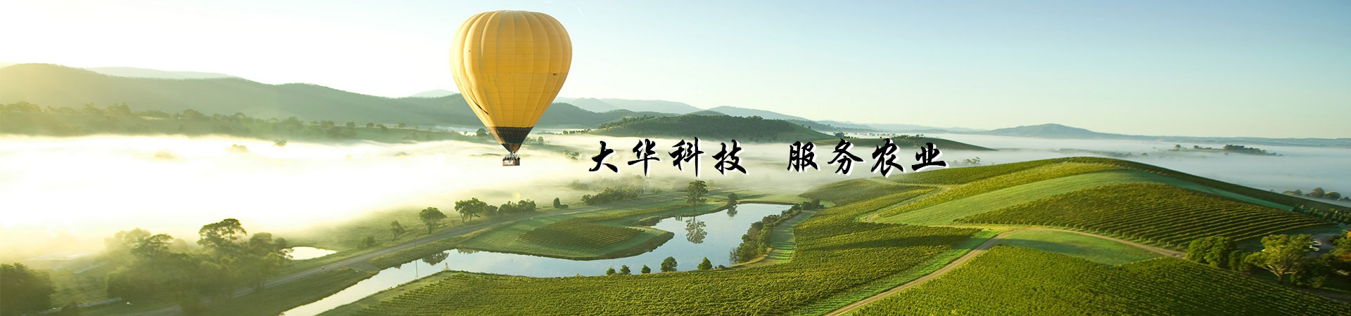 代爾塔（中國）有限公司